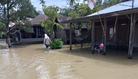 7 313 Jiwa Terkena Dampak Banjir Di Aceh Tenggara Komparatif ID