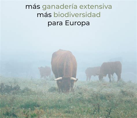 La iniciativa europea Más ganadería extensiva más biodiversidad