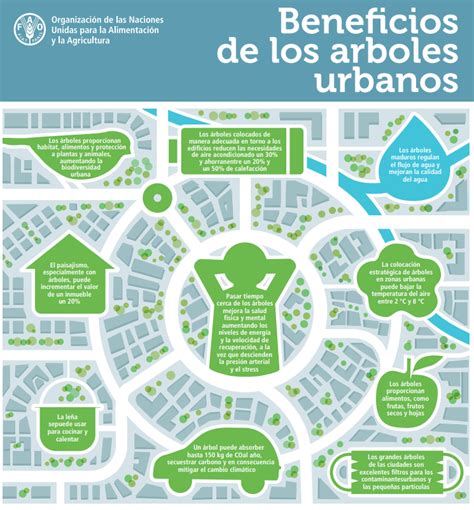 Conafor On Twitter Convertir Nuestras Ciudades En Lugares M S Verdes