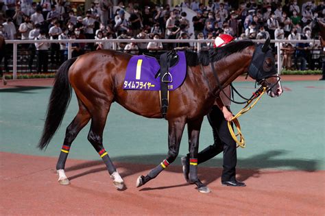 東京シティ競馬tck On Twitter 今日、盛岡競馬場で行われるマイルチャンピオンシップ南部杯jpnⅠに、tckから