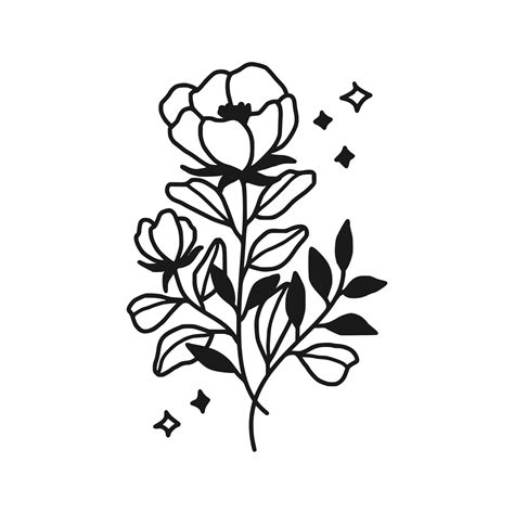 Vintage hand drawn peony flower line art vector element 34957159 Vector ...