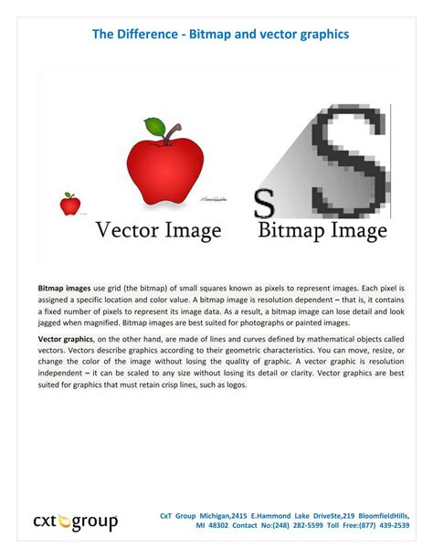 PPT - The Difference - Bitmap and vector graphics PowerPoint ...