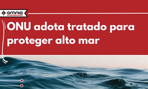 Onu Adota Tratado Para Proteger Alto Mar Omnia