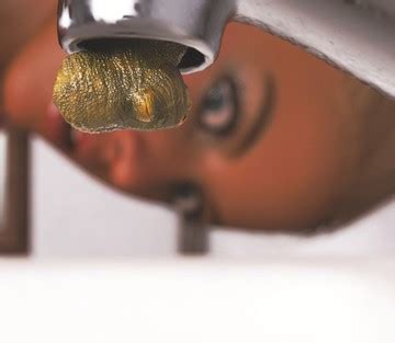 Vol Muses Sex And Porn Comics