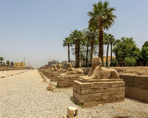 Female Headed Sphinxes On The Avenue Of Sphinxes Between The Karnak