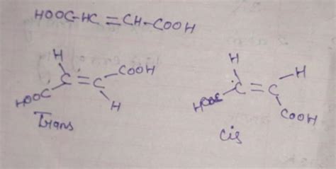 Que Draw Cis Trans Isomer For A But Ene Dioic Acid Brainly In