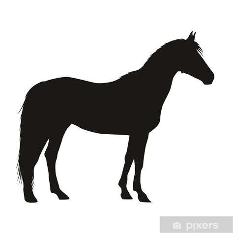 Poster Cheval Ombre Silhouette Cheval Pixersfr