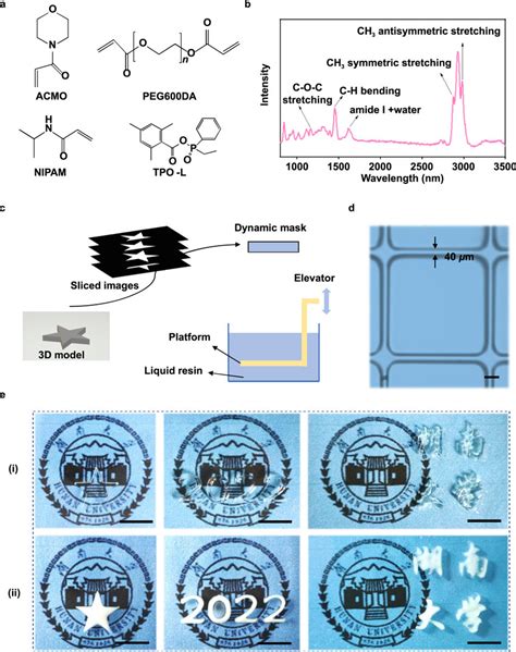 Hydrogel Patterns Fabricated By Pμsl Based 3d Printing Technique A