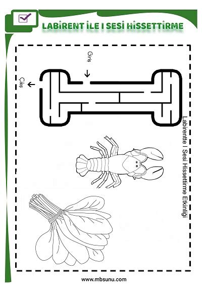 1 Sınıf İlk Okuma Labirent İle I Sesi Hissettirme Etkinliği Mbsunu