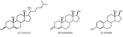 Lipid Derived Hormones Biology For Majors Ii