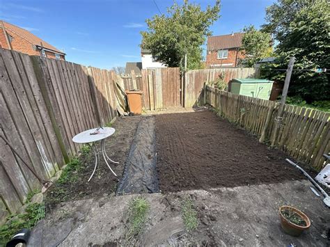 What is my next step for planting grass, on the right? Before I mess it ... 