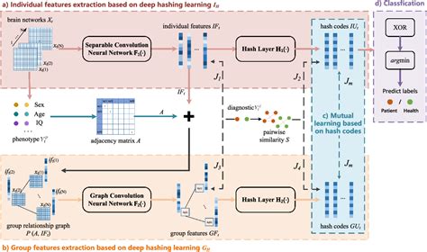 Figure From Deep Hashing Mutual Learning For Brain Network