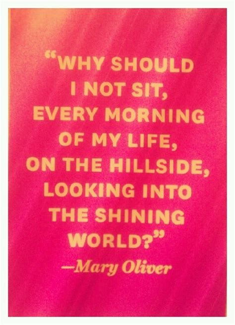 Mary Otter Quote On Pink Background With White Lettering That Reads Why