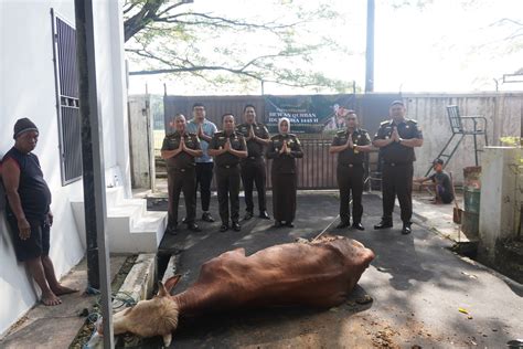 Penyembelihan Hewan Qurban Kejaksaan Negeri Kabupaten Cirebon