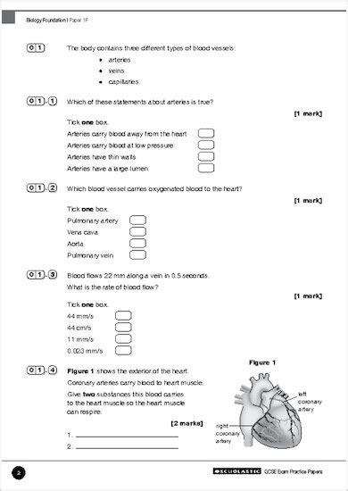 Gcse Grades 9 1 Practice Exams Gcse Grades 9 1 Foundation Biology Aqa Practice Exams Sample