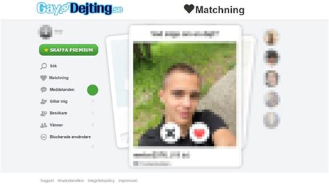 Gay Dejting Se Recension