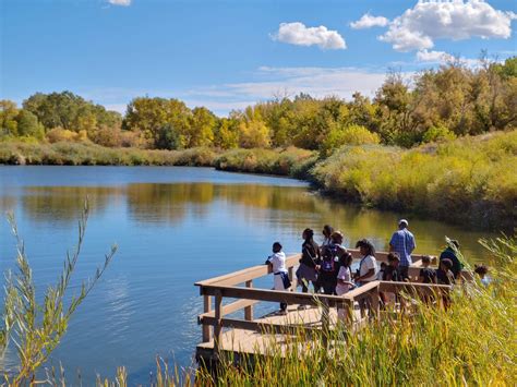 Bird Conservation | Denver Audubon | Denver, CO