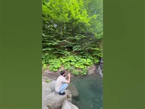 Сочи , красная поляна, чистая родниковая, ледяная прохлада… #sochi # ...