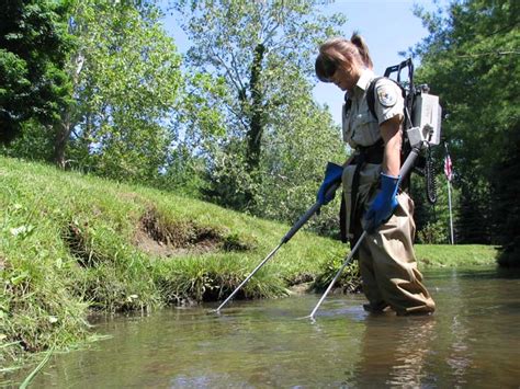 Unnatural History Sea Lamprey Control In The Great Lakes Fly Life