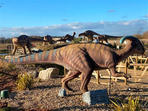 We Stayed At The Incredible Dinosaur Park With A Dino Restaurant 90