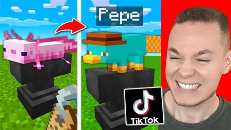 Ich Teste Virale Tik Tok Hacks In Minecraft Funktioniert Youtube