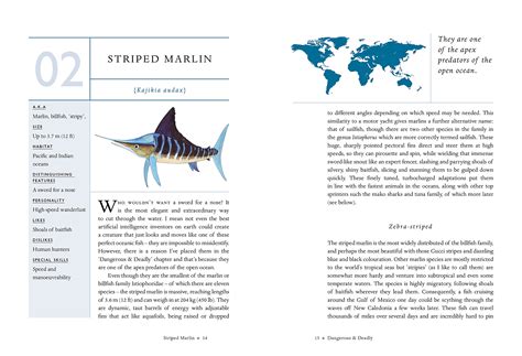 The Secret Life of Fish: The Astonishing Truth about our Aquatic