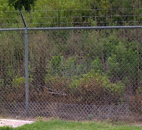 Cedar Posts And Barbed Wire Fences Jerry Orr Speaks His Mind