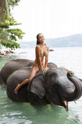 Non Nude Putri Cinta Tourist In Phuket PutriCinta Phun Org Forum