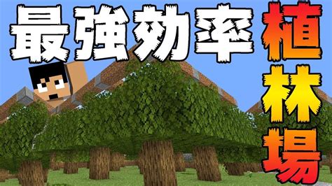 【カズクラ2020】最強効率の植林場作ってみた マイクラ実況 Part54 Youtube