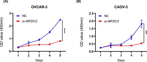 Wfdc Knockdown Inhibits Proliferation Of Ovarian Cancer Cells A B