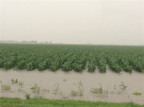 Texas Crop And Weather Report April 26 AgriLife Today