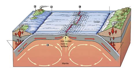 Tectonic Plate Boundaries Diagram | Quizlet