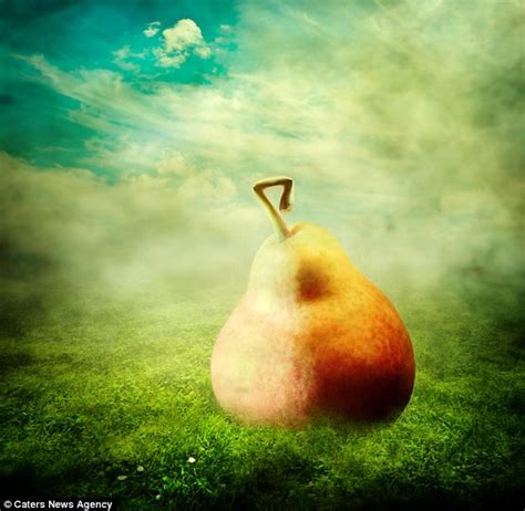 Stanislav Aristov: Iconic images that show fruits aren't just for still ...