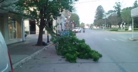 Alerta Metereolgico Se Esperan Fuertes Vientos En La Ciudad