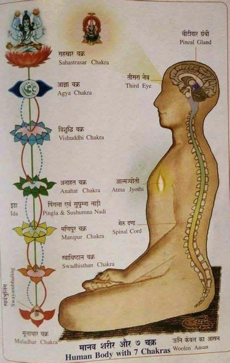 Human body s chakras – Artofit