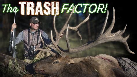 Loaded With Trash Elk Hunting Colorado With Guy Eastman Youtube