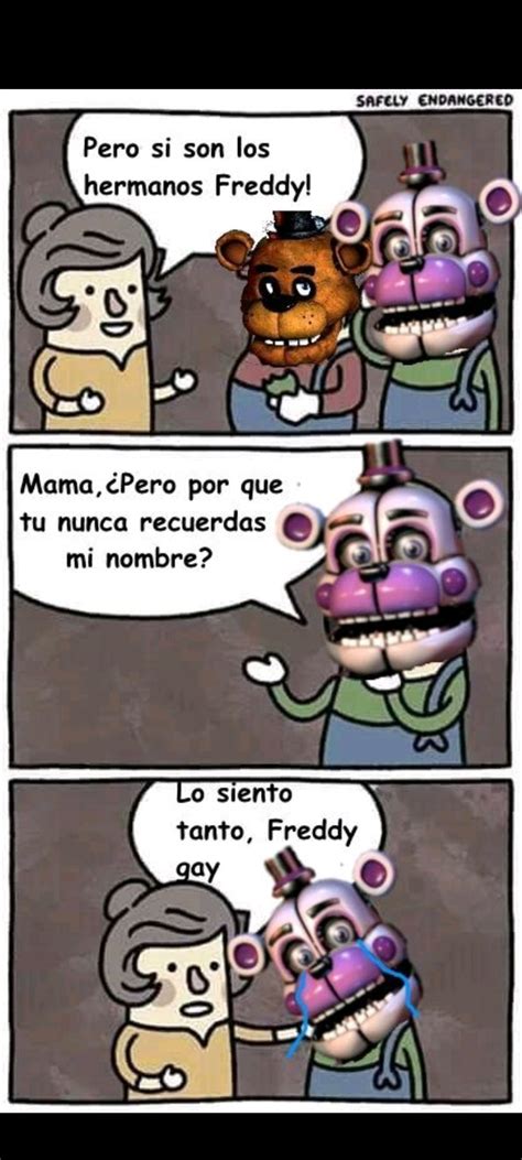 Oso Gay Meme By Randomazo Memedroid