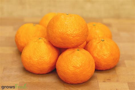 Organic Mandarins Seedless Australian Growsfresh