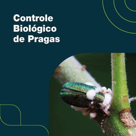 Controle Biológico De Pragas Elevagro Hotmart