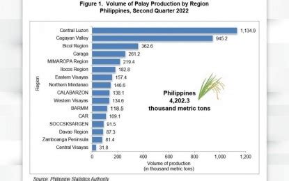 Central Luzon Still Phs Top Palay Producer In Q This Year