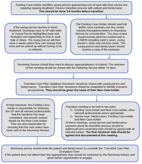 Transition Care Planning Action 21 Transition Pathway Govscot