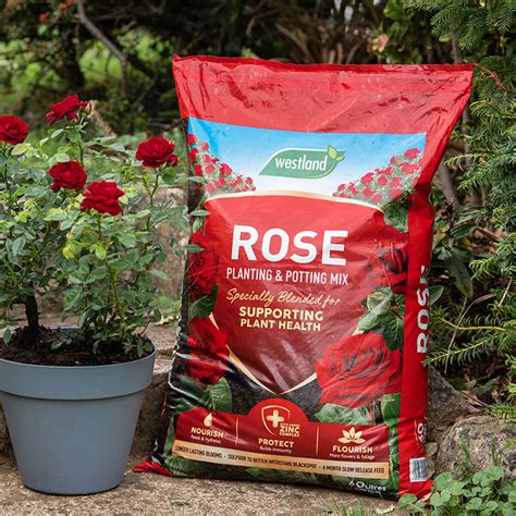 Rose Planting & Potting Mix - Ruxley Manor