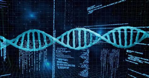 Imagen De Cadena Dna Y Procesamiento De Datos En Fondo Negro Stock De