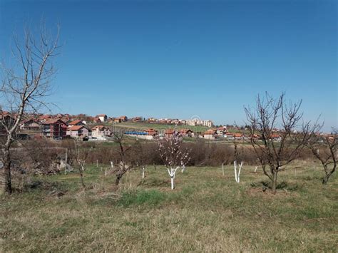 Monumento Do Batalh O Dos Trabalhadores Dos Lutadores Em Kadinjaca S