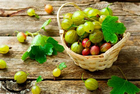 Amla Indian Gooseberry Health Benefits How To Eat It