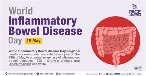 Inflammatory Bowel Disease Ibd Symptoms Causes 43 Off