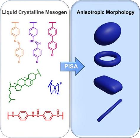 通过聚合诱导的自组装液晶纳米颗粒：形态演化和功能调节chemistry A European Journal X Mol