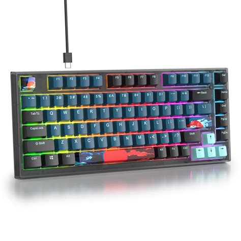 Solidee Wired Mechanical Gaming Keyboard Hot Swappable Gasket Rgb