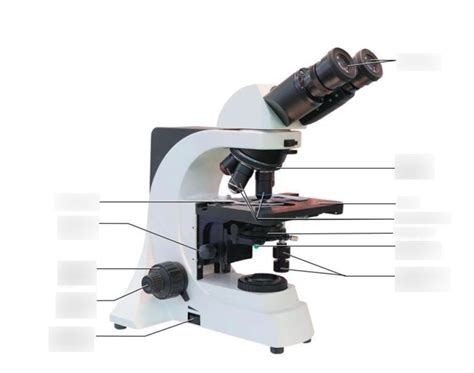 LAB - Parts of the Microscope (Diagram 2) Diagram | Quizlet