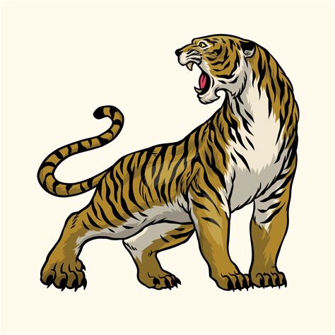 Vintage Style Drawing of Tiger Roaring 23172682 Vector Art at Vecteezy